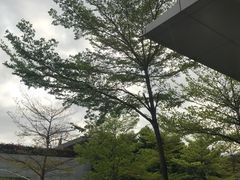 -Apple零售店(深圳益田假日广场店)