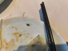 -惠丰堂饭庄·烤鸭·京味菜(西北旺·唐家岭店)