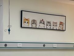 -美联众合动物医院·24h京西诊疗中心