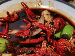 -杨氏青龙虾·羊蝎子(金盛路总店)
