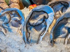 -大头椰·椰子鸡火锅(南宁万象城店)