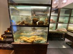 -甄御•海鲜新青岛菜(麦岛店)