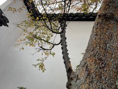 -程十发艺术馆