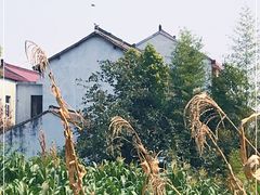 -碧丽宫大酒店(召稼楼店)