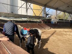 -上海爱久忠马术俱乐部(龙吴路店)