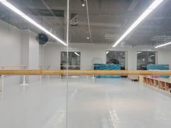 -舞蕾舞蹈(特长生校区)