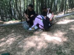 -宁波浙东大竹海景区