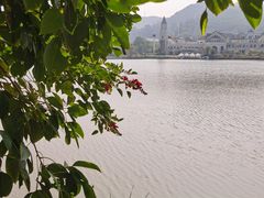 -美的鹭湖森林度假区