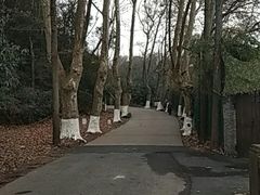 -杭州林泉山庄