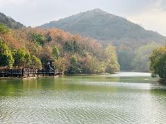 -白马涧龙池景区