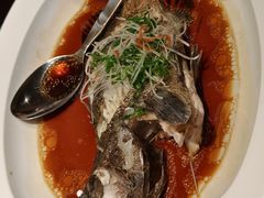 -荣兴酒家(徐家汇店)