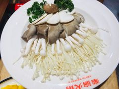 菌菇类组合-豪渝火锅(李家村万达店)