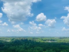 -东寨港红树林旅游区