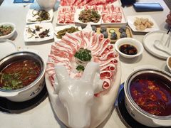 -蒙都43°9羊火锅·赤峰美食(桥北店)