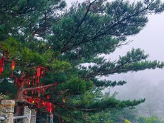 -崂山仰口游览区