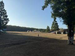 -黄海国家森林公园