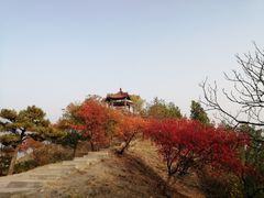 -十三陵水库