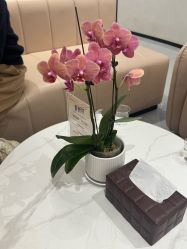 -Yestar 嘉兴艺星医疗美容医院
