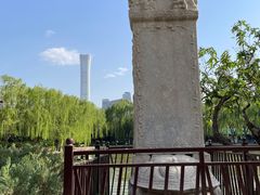 -团结湖公园