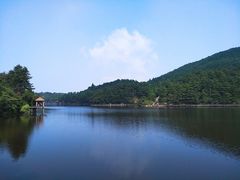 -庐山风景区花径公园