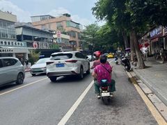 -长洲岛