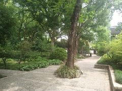 -上海醉白池公园