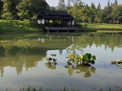 -杭州植物园