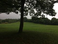 -雨花胜境