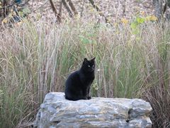 -南京市江宁方山