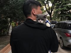-酷狗靓猫宠物·洗护·美容·寄养(航北路店)