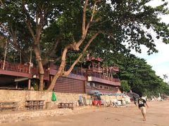 -卷心菜和避孕套餐厅(Pattaya)