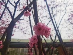 -沐仙湖湿地公园