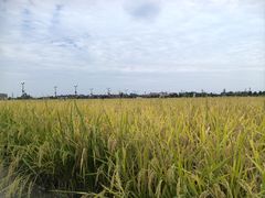 -中国天府农业博览园