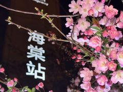 -甜嘟嘟烘焙坊(舒城路店)