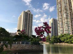 -苏州河梦清园环保主题公园