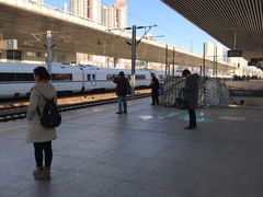 -塘沽站