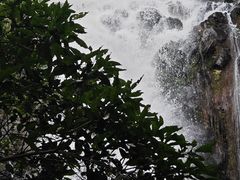 -马峦山郊野公园