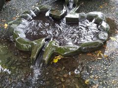 -成都市活水公园