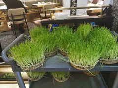 -洪氏嗨捞·猪肚鸡火锅(阳光天地店)