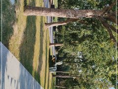 -前小桔亲子创意农场·草莓采摘·露营烧烤