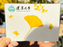 -辽宁大学(崇山校区)