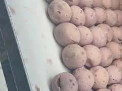 -東更道点心行(崂山丽达店)