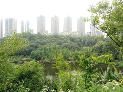 -重庆彩云湖湿地公园
