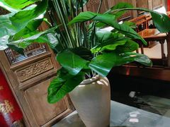 -北京老铺烤鸭(老城根店)