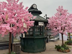 -武汉知音号