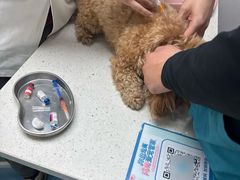 -宠颐生宠物医院·异宠猫科内科·诊疗中心宠巢店