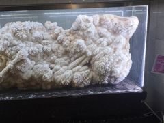 -湖南省地质博物馆