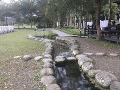-瑞穗牧场