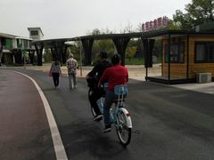 -武清南湖绿博园