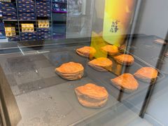 -春丽小马(济南恒隆广场店)